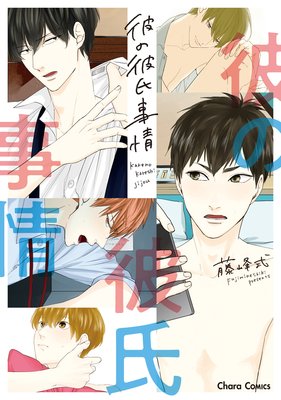 Kare no Kareshi Jijou cover