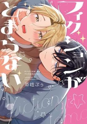 Fiction ga Tomaranai cover