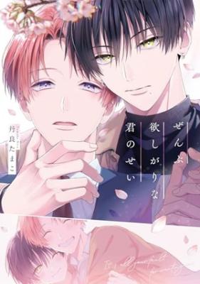 Zenbu Hoshi Garina Kiminosei cover