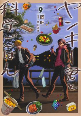 Yankee-kun to Kagaku Gohan cover