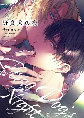 Norainu no Yoru cover
