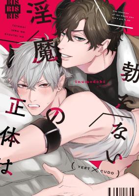 Tatanai Inma no Shoutaiwa cover