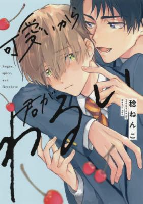Kawaii kara Kimi ga Warui cover