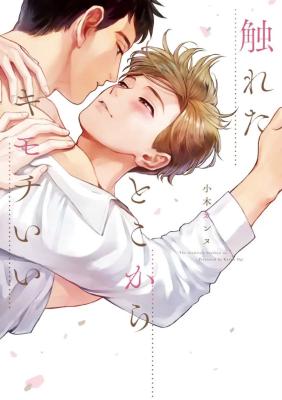 Fureta Toko kara Kimochi Ii cover