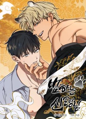 The Tiger's Bride cover