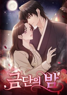 Forbidden Night cover