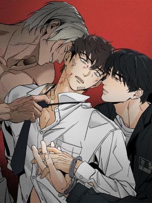 Recoil cover