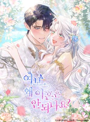 Darling, Why Can't We Divorce? cover