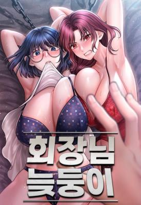The Chairman's Secret Son cover