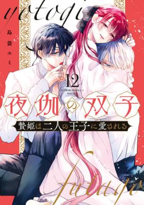 Yotogi no Futago - Niehime wa Futari no Ouji ni Aisareru cover