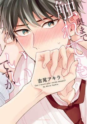 Oku Made Furete mo Ii desu ka cover