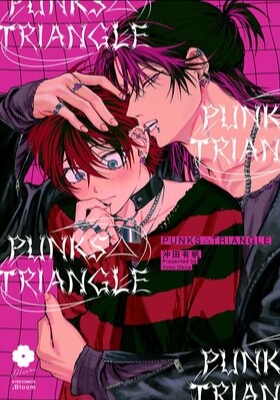 Punks Triangle cover