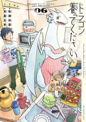 Dragon Yashinatte Kudasai cover