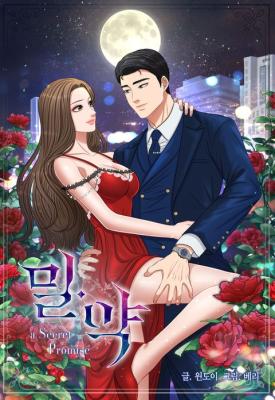 The Secret Promise cover