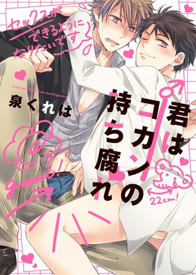 Kimi wa Kokan no Mochigusare cover