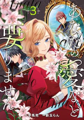Anata no Ai nado Irimasen cover