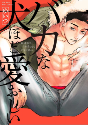 Bakana Inuhodo Itooshii cover