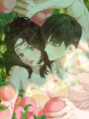 Peach Blossom Land cover