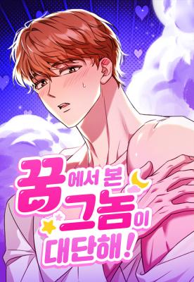 The Guy I Saw in My Dream Is Amazing! cover