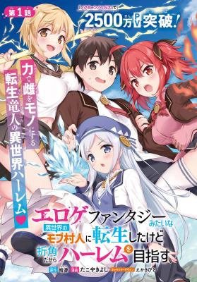 Eroge Fantasy Mitai na Isekai no Mob Murabito ni Tensei shita kedo Sekkaku dakara Harem wo Mezasu cover