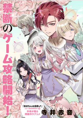 Ore Seijo: Ore ga Seijo de Omae Akuyaku Reijou - Saikyou Tag Otome Game Kanzen Kouryaku Itashimasu wa cover