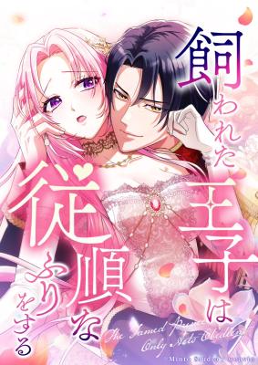 Kawatara Ouji wa Juujun na Furi wo Suru cover