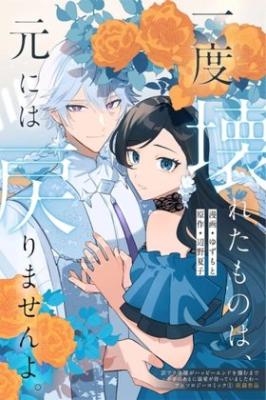 Do Kowareta Mono Wa, Moto ni wa Modorimasen yo cover