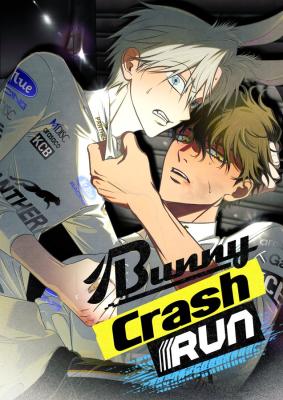 Bunny Crash Run