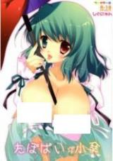 Touhou dj - Tapopai Okasa cover