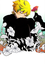 Series Image