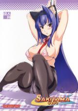 Arcana Heart dj - Sakitama cover