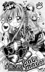Series Image