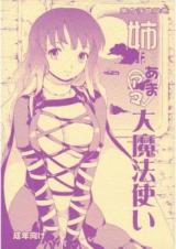 Touhou dj - Touhou World Picture Scroll Sis is a Buddhist Amateur Great Magician cover