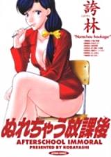 Nurechau Houkago cover