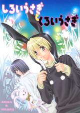 Series Image