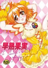 Pretty Cure dj - Precocity Fruit cover