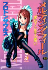Melting File cover