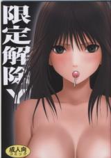 Hatsukoi Limited dj - Gentei Kaijo cover
